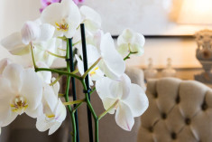 Suite at Palazzo Lorenzo Hotel Boutique & Spa