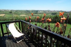 Tiny House Jorgina at Da Silva Surf Camp Portugal