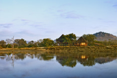 Treehouse Suite at Ulusaba Private Game Reserve 