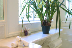 The Superior Room:  Green Room at Colona Castle