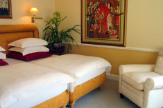 The Executive Suite:  Mogul Suite at Colona Castle