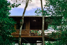 Agouti Treehouse (up to 6 guests) at Tree Houses Hotel
