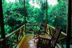 Agouti Treehouse (up to 6 guests) at Tree Houses Hotel
