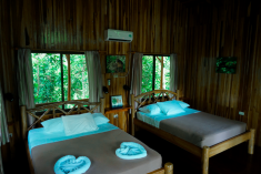 Agouti Treehouse (up to 6 guests) at Tree Houses Hotel