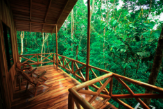 Monkey Tree House (up to 7 guests) at Tree Houses Hotel