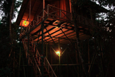 Monkey Tree House (up to 7 guests) at Tree Houses Hotel