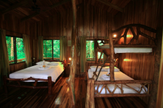 Monkey Tree House (up to 7 guests) at Tree Houses Hotel