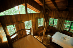 Monkey Tree House (up to 7 guests) at Tree Houses Hotel