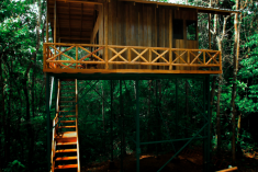 Monkey Tree House (up to 7 guests) at Tree Houses Hotel
