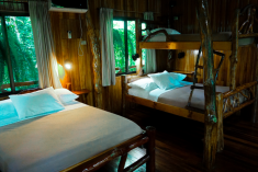 Hummingbird Tree House (up to 7 guests) at Tree Houses Hotel