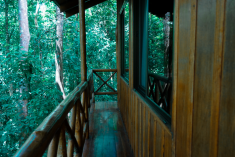 Hummingbird Tree House (up to 7 guests) at Tree Houses Hotel