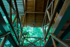 Hummingbird Tree House (up to 7 guests) at Tree Houses Hotel