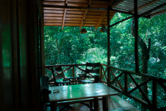 Hummingbird Tree House (up to 7 guests) at Tree Houses Hotel