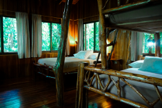 Hummingbird Tree House (up to 7 guests) at Tree Houses Hotel