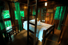 Frog Tree House (up to 4 guests) at Tree Houses Hotel