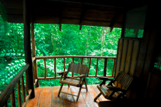 Frog Tree House (up to 4 guests) at Tree Houses Hotel