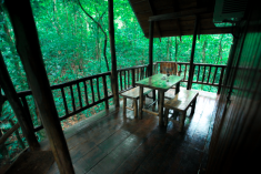 Frog Tree House (up to 4 guests) at Tree Houses Hotel