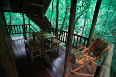 Frog Tree House (up to 4 guests) at Tree Houses Hotel