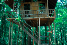 Sloth Tree House (up to 4 guests) at Tree Houses Hotel