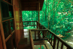 Sloth Tree House (up to 4 guests) at Tree Houses Hotel