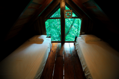 Sloth Tree House (up to 4 guests) at Tree Houses Hotel