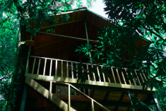 Toucan Treehouse (perfect for couples) at Tree Houses Hotel