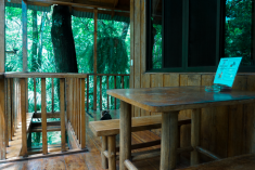 Toucan Treehouse (perfect for couples) at Tree Houses Hotel