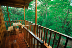 Toucan Treehouse (perfect for couples) at Tree Houses Hotel