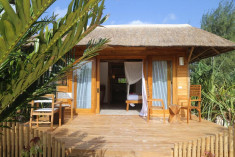 Garden Jungle Room  at Fruit & Spice Wellness Resort