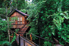 Jungle Luxe Sarang at Japamala Resort Tioman