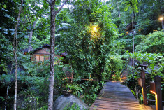 Jungle Luxe Sarang at Japamala Resort Tioman