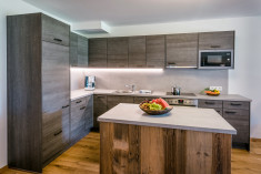 Almresidence Big Family at Almlust