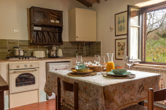 Verbena at PODERE COLOMBAIO 