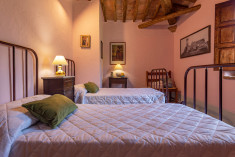 Verbena at PODERE COLOMBAIO 