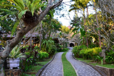 Gunung Paradis Exclusive - up to 18 guests at Gunung Paradis Retreat - Authentic Bali Mountain Retreat