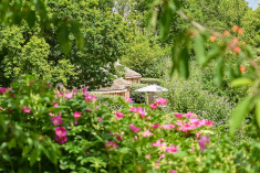 Treehouse at Dittisham Hideaway 