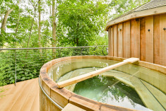 Treehouse at Dittisham Hideaway 