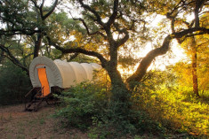 Conestoga Covered Wagon at BlissWood Bed & Breakfast Ranch