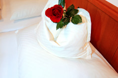 40m² Appartement at Fleger Appartements**** Vienna