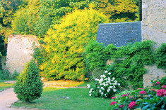 Suite aux Fleurs at Chateau de La Barre	