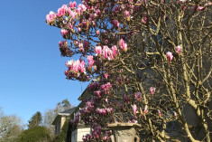 Her Ladyship's Suite at Dunbrody Country House