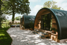 Pyggy Basil at Silchester Farm