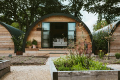 Pyggy Sage at Silchester Farm