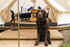Just One Bell Tent - Sleeps 2 at Hop Pickers Rural Retreats