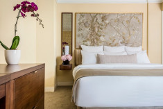 Standard Room at Warwick Allerton - Chicago