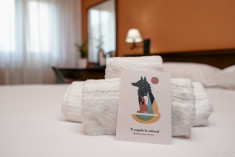 Double Room at Hotel Altevie 