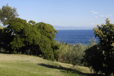 The Yellow Room at NATTA DI MONTE TABOR