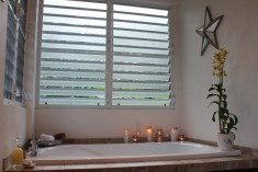 Paradise Suite Villa at Rainforest Inn Bed and Breakfast