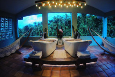 The Jungle Suite at Rainforest Inn Bed and Breakfast