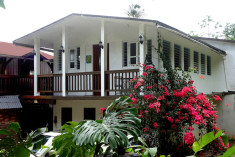 The Jungle Suite at Rainforest Inn Bed and Breakfast
